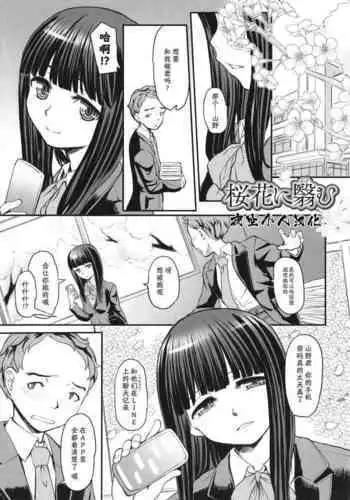 Sakura Hana ni Kage mu