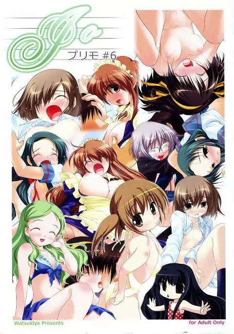 Purimo 6