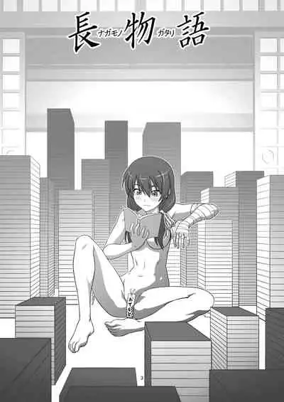 [Circle Credit (Akikan)] Nagamonogatari (Bakemonogatari) [Chinese] [creepper個人漢化] [Digital]