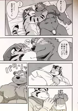 Tanuki to tanuki no bakashi ai