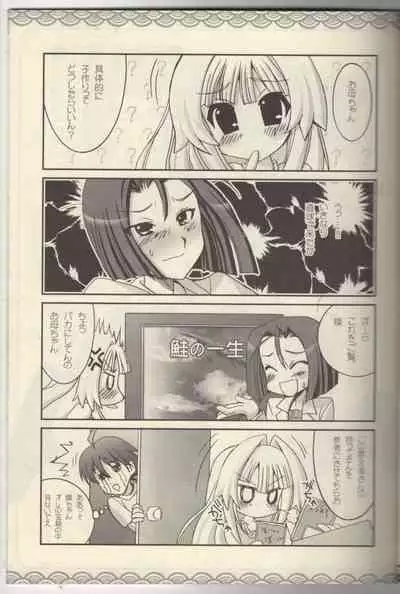 Seto no Hanamuko