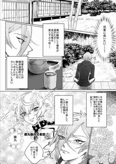 Delivery Anija