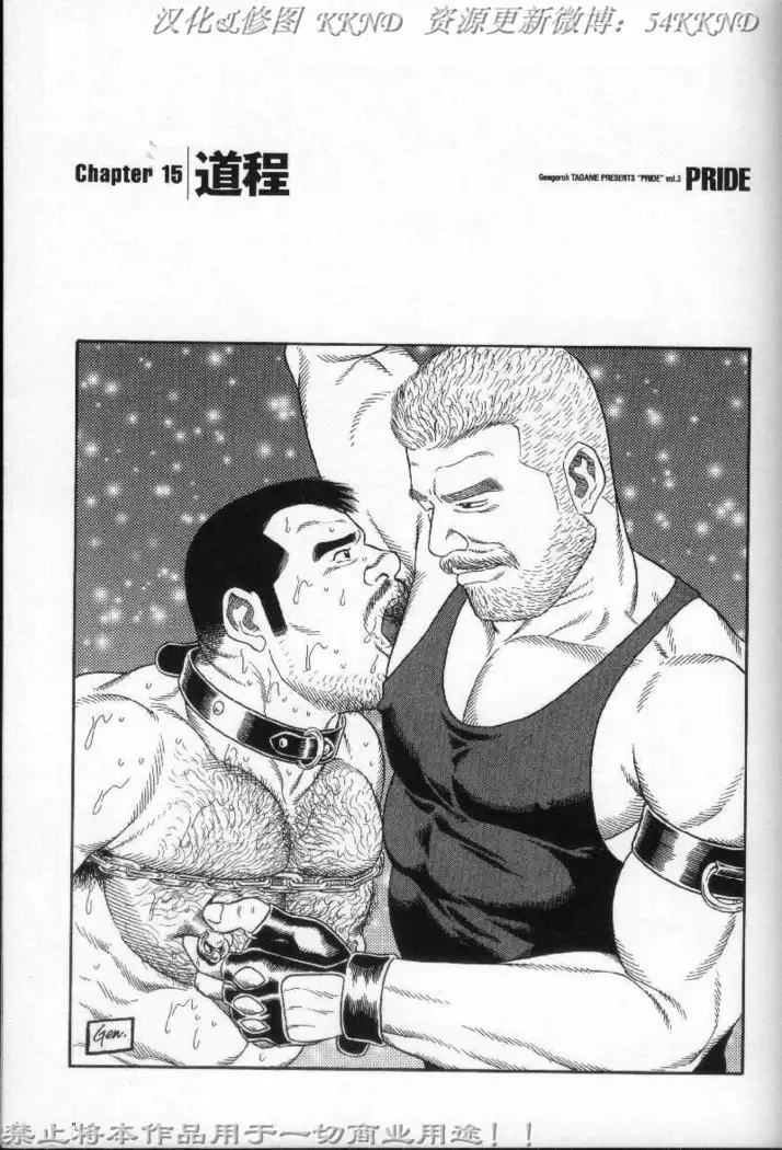 PRIDE Vol. 3