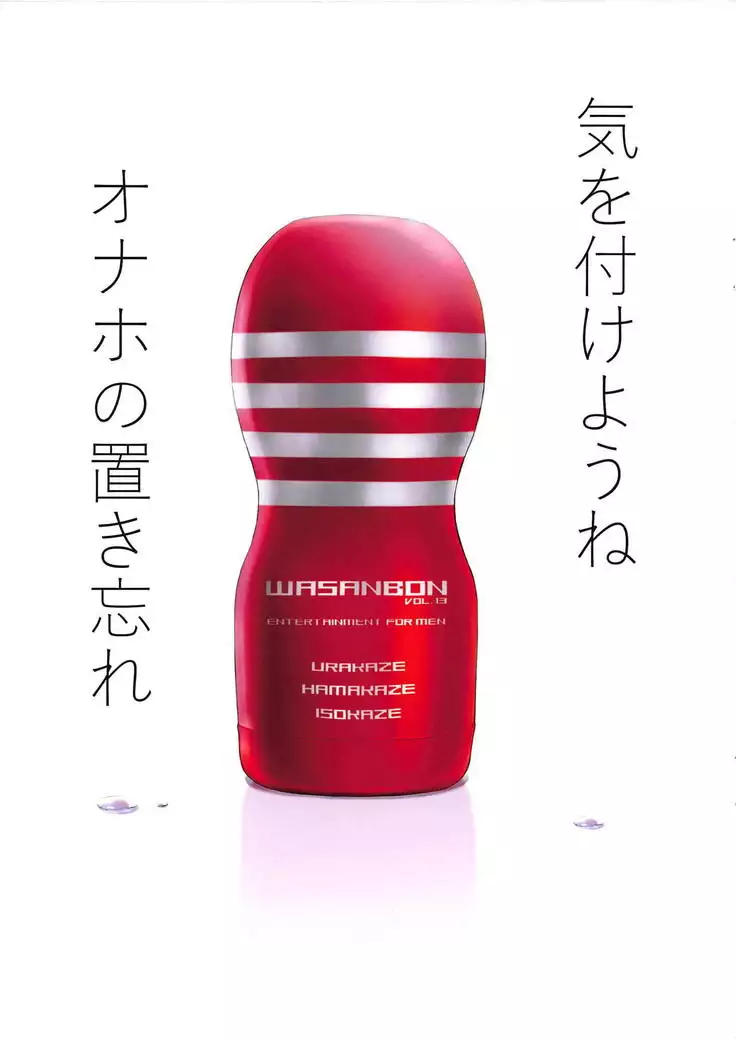 WASANBON vol.13