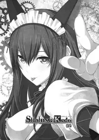 (C82) [Wagamama Dou (Syowmaru, NIO)] Sitainsu;Kedo 04 (Steins;Gate)