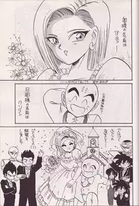 (CR14) [Kokuryuukigun (Various)] P-ARK (Dragon Ball Z) [Incomplete]