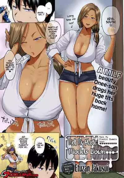 Puramo Tokashite... | Melt My Plastic Models Down…