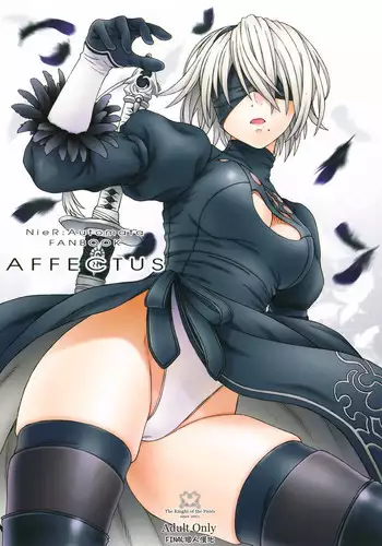 (C92) [The Knight of the Pants (Tsuji Takeshi)] AFFECTUS (NieR:Automata) [Chinese] [final????]