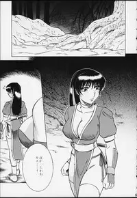 (C59) [Circle Taihei-Tengoku (Aratamaru)] NIGHT HEAD 12 (Dead or Alive)