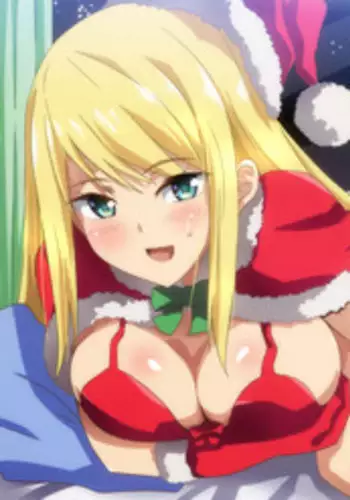 [Hara] Hitorigurashi no Otoko no Ie ni Santa-san ga Yattekita [Chinese] [????????]