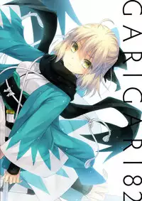 (C91) [Alemateorema (Kobayashi Youkoh)] GARIGARI 82 (Fate/Grand Order) [Chinese] [无毒汉化组]