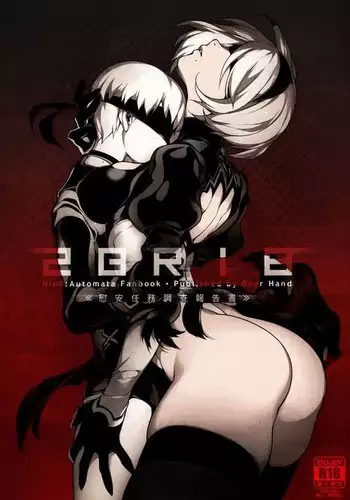 NieR : 2BR18