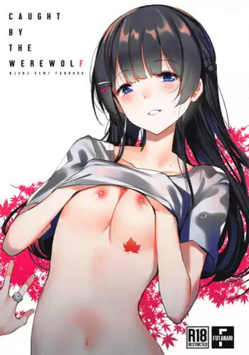 (C95) [virophilia (Orihi Chihiro)] Caught By the Werewolf (Tsukino Mito, Higuchi Kaede) [Chinese] [??DD???]