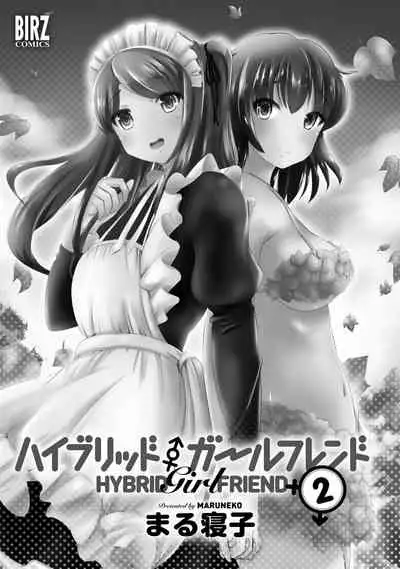 Hybrid Girlfriend Vol.2