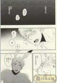 (C86) [88 (hinoe)] Usagi no Kimochi (Axis Powers Hetalia)